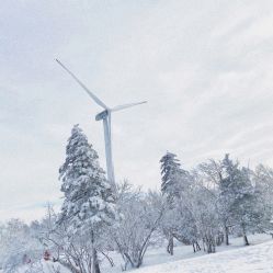-大秃顶子山