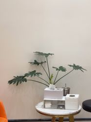 -YESIDO椰岛造型
