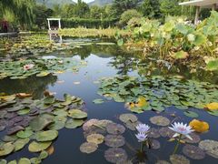 -国家植物园南园