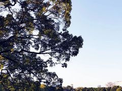 -建水文庙