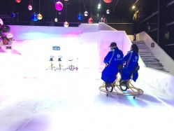 -圣名游乐城冰雪大世界