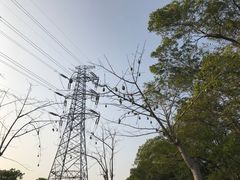 -福田红树林生态公园