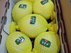 -上海龙吴水胜海发市场