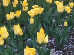 -长春公园(普阳街道)