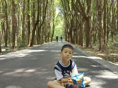 -同里国家湿地公园