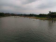 -鹤之洲湿地公园