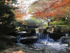 -中国茶叶博物馆(双峰馆区)