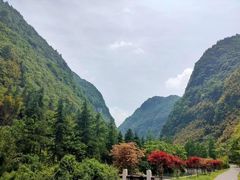 -神龙峡风景区