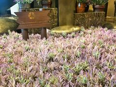 -曼谷大仓新颐酒店