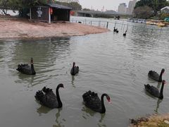 -琅岐红光湖公园