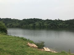 -南京市无想山景区