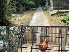 -开平碉楼文化旅游区马降龙景区