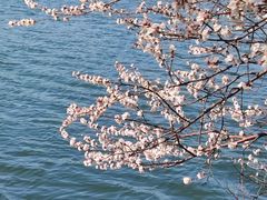 -颐和园