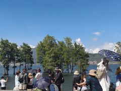 -大理.老字号渝记酸萝卜乌鱼(古城总店)