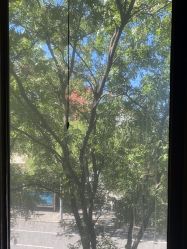 -北京俪婴妇产医院(朝阳大悦城店)