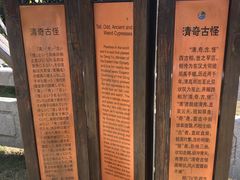 -司徒庙