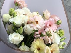 -双季花艺园艺市场(浦东店)