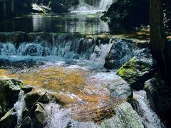 -牛背梁国家森林公园