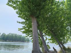 -Oasis Beauty水磨坊科技美肤中心