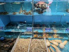 -启东小海鲜(庄先湾路1号店)