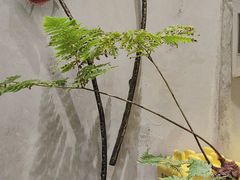 -泰菩提树下·泰式按摩SPA(沙坡尾店)