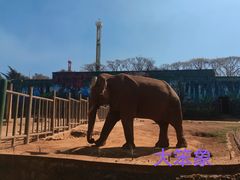 -昆明动物园