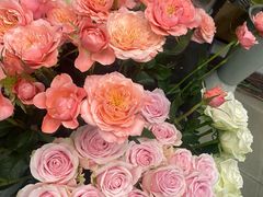 -静岸花卉园艺(三星坊店)