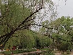 -满都海公园