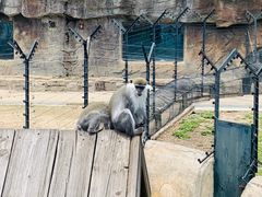 -大连森林动物园