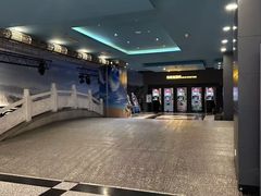 -万达影城(锦华万达广场IMAX店)