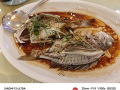 -益利大酒楼(井岸店)