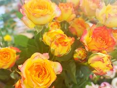 -森野花艺培训·企业团建活动沙龙