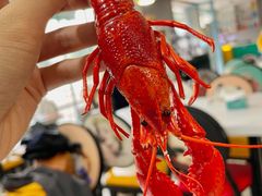 清蒸小龙虾-辣螃铠盆盆蟹大排档(总店)