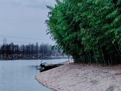-上海辰山植物园