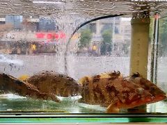-凯华海鲜火锅·传承三十六年