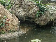 -晓港公园