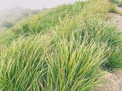-七娘山