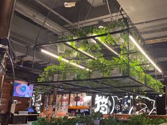 -猫爪爪原切自助烤肉(观音桥阳光世纪店)