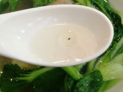 -老盛兴汤包馆(安波店)