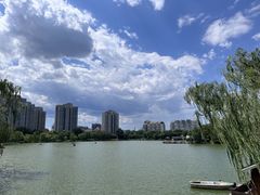 -莲花池公园
