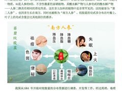 菲碧绞股蓝-厦门悦华酒店