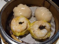 -糖朝(尖沙咀店)