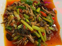 -重庆火锅水库鱼庄(南油店)