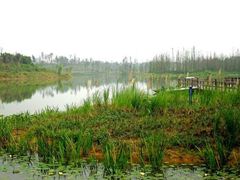 -白鹭湾湿地公园