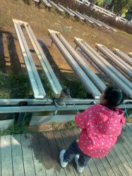 -阿菠萝小猪农场·萌宠乐园·亲子游·研学