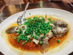 鲜花椒蒸笋壳鱼-猪肉婆私房菜(容桂总店)
