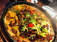 -老板恋上鱼(高新万达店)