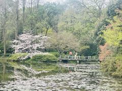 -山外山菜馆(玉泉路店)