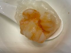 -东方御宴海鲜酒楼(棕泉酒店)