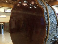 -庐山天沐温泉度假村